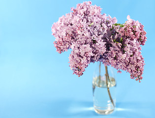 Image showing Bouquet of violet lilac