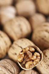 Image showing Walnuts