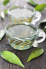 Image showing Green tea