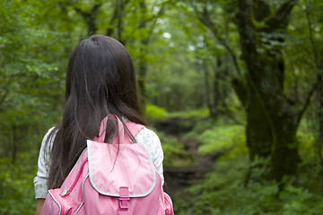 Image showing Girl Hiker