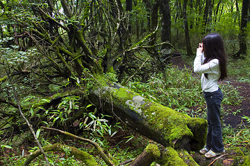 Image showing Girl Taking Photo of Tree