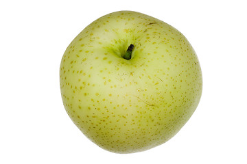 Image showing Chinese golden pear

