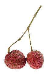 Image showing Two lychees

