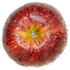 Image showing Red apple top view

