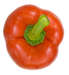 Image showing Red bell pepper top view

