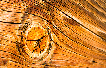 Image showing Lumber Gnarled Knotty Wood Lumber Plank Macro Burnt Nail