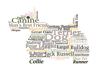 Image showing Canine Themed Dog Word Cloud Typography Illustration