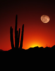 Image showing Vertical Desert Saguaro Cactus Full Moon Sunset American Southwe