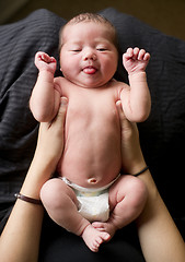 Image showing Newborn Infant Baby Girl in Mothers Caring Arms Wearing Diaper