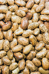 Image showing Pile of Dry Food Pinto Beans Healthy Ingredient