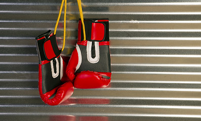 Image showing Red Boxing Gloves Hanging on a Hook