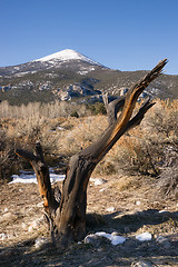 Image showing High Mountain Peak Great Basin Region Nevada Landscape