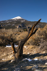 Image showing High Mountain Peak Great Basin Region Nevada Landscape