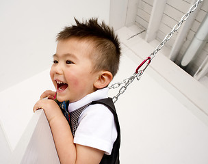 Image showing Horizontal Composition Happy Young Boy Playing on Chain Swing Se