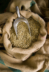 Image showing Raw Coffee Beans Seeds in Bulk Burlap Sack Production Warehouse