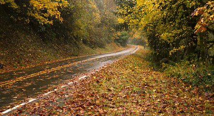 Image showing Wet Rainy Autumn Day Leaves Fall Two Lane Highway Travel