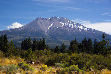 Image showing Hot Summer Day Weed California Base Mount Shasta Mountain Cascad