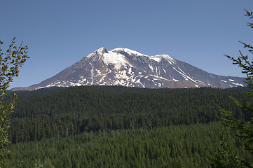 Image showing Mount Adams Cascade Range Gifford Pinchot National Forest USA