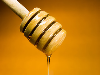 Image showing Honey Dripper Sweet Food Spreader Bee Sweet Food