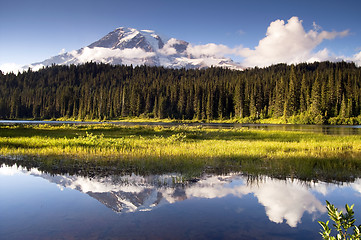 Image showing Saturated Color at Reflection Lake Mt. Rainier National Park