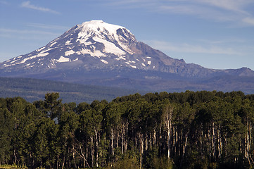 Image showing Forest Landscape Adjacent Ranch Countryside Mount Adams Cascade 