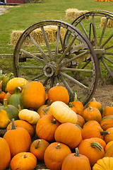 Image showing Farm Scene Old Wagon Vegetable Pile Autumn Pumpkins October