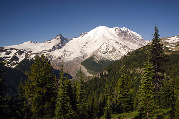 Image showing Trail High on Burroughs Mountain Cascade Range Mt. Rainier Backg