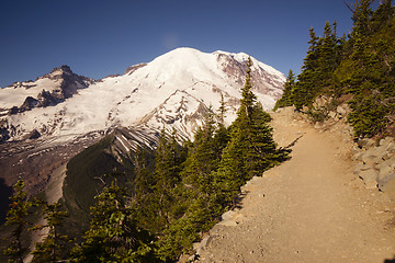 Image showing Trail High on Burroughs Mountain Cascade Range Mt. Rainier Backg