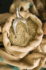 Image showing Raw Coffee Seeds Bulk Scoop Burlap Bag Agriculture Bean