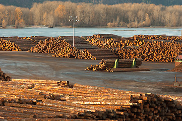 Image showing Large Timber Wood Log Lumber Processing Plant Riverside Columbia