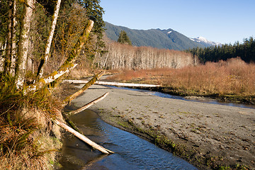 Image showing Winter Along  Mountain Stream Hoh River Banks Olympic Mountains