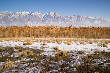 Image showing Snow Covered Mountains Behind Lakeside Highway PLant Growth Utah