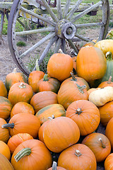 Image showing Farm Scene Old Wagon Vegetable Pile Autumn Pumpkins October