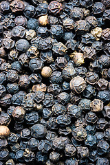 Image showing Pile of Whole Black Pepper Drupes Food Spice