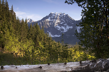 Image showing Fire Road Overlooks Big Four Peak North Cascades Mountain Range