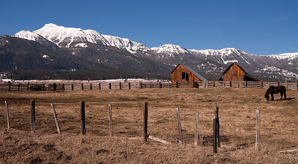 Image showing Old Horse Barn Endures Mountain Winter Wallowa Whitman National 