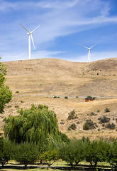 Image showing Rural Country Side Modern Green Wind Energy Generator Turibne