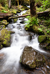 Image showing Waterfall onTrail Punch Bowl Falls Columbia River Gorge