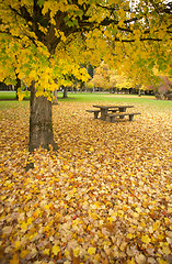 Image showing Rest Area Picnic Table Autumn Nature Season Leaves Falling 