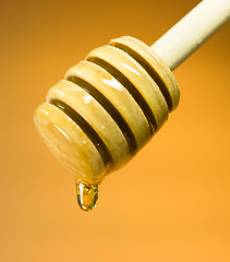 Image showing Honey Dripper Sweet Food Spreader Bee Sweet Food