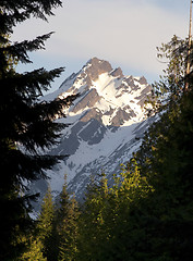 Image showing Fire Road Overlooks Del Campo Peak North Cascades Mountain Range