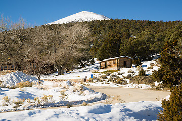 Image showing Historic Cabin Winter Day Great Basin National Park Southwest US