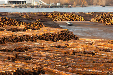 Image showing Large Timber Wood Log Lumber Processing Plant Riverside Columbia