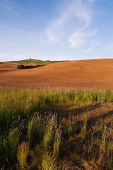 Image showing Farm Industry Plowed Field Spring Planting Palouse Country Ranch
