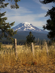 Image showing Grassland Fence Countryside Mount Adams Mountain Farmland Landsc