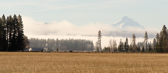 Image showing Mount Hood Washington Side Ranch Land Farm Grasslands