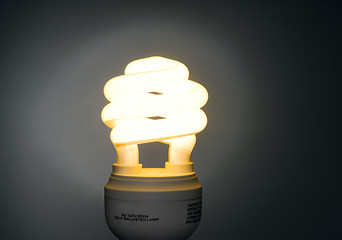 Image showing Warm Color Low Wattage Self Ballasted Fluorescent Light Bulb
