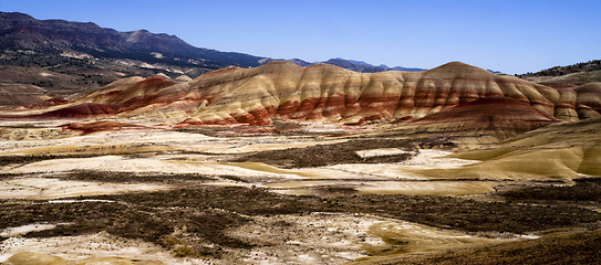 Image showing Panoramic Horizontal Composition Painted Desert John Day Fossil 