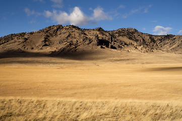 Image showing Yellow Grain Grassland Growing Scenic Valley Northern Rocky Moun