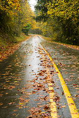 Image showing Wet Rainy Autumn Day Leaves Fall Two Lane Highway Travel